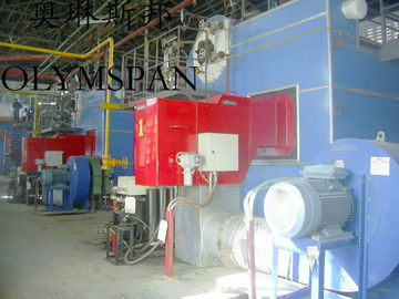 Low Pressure Horizontal Heating Thermal Gas Oil Fired Boiler , High Temperature