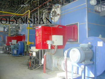 Horizontal Hot Oil Fired Electric Thermal Oil Boiler With High Heat Efficient