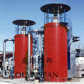 Automatic Gas Fired Vertical Thermal Heating Oil Boiler High Efficiency